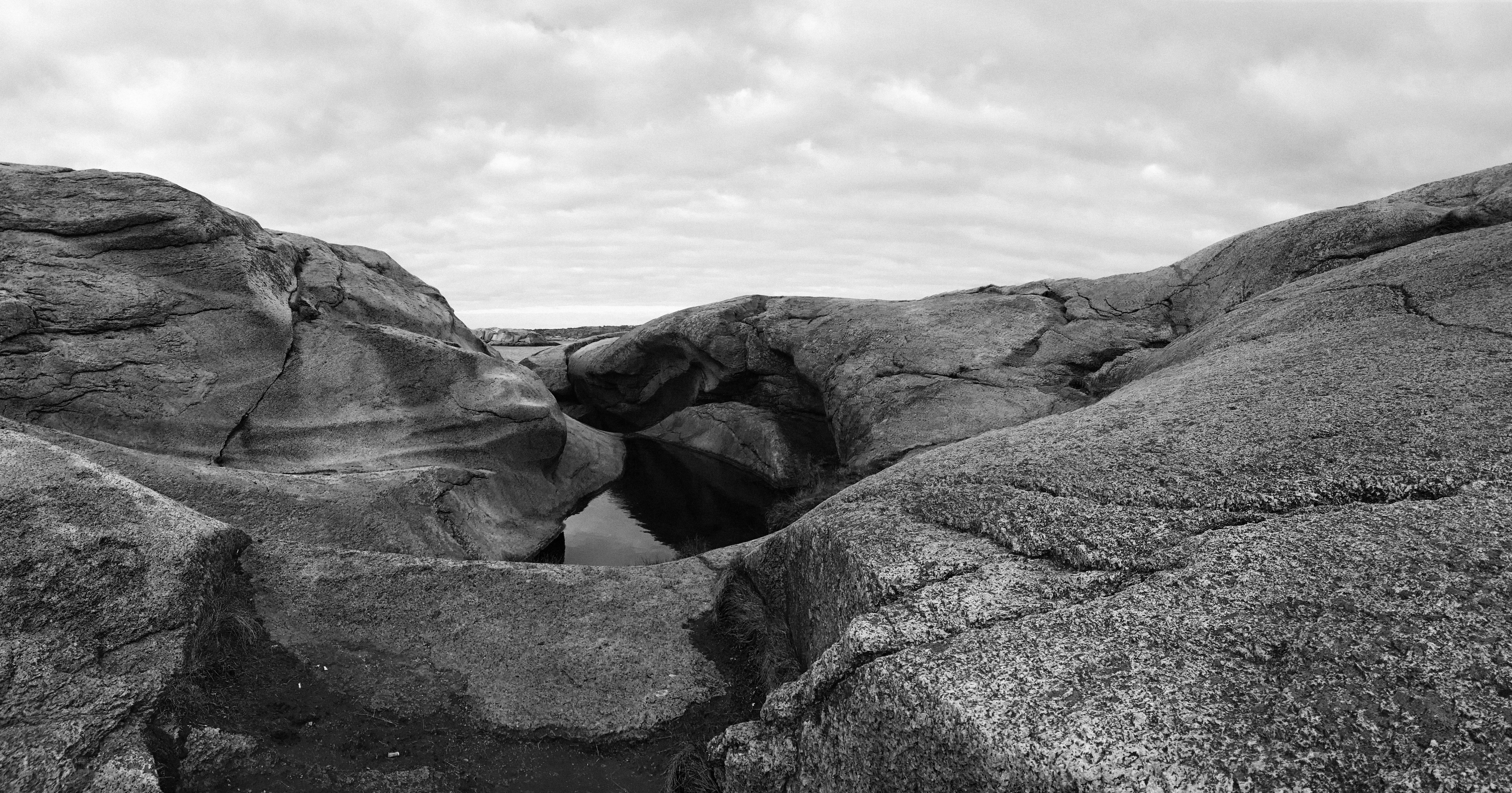 Image: IMG 0615 bw